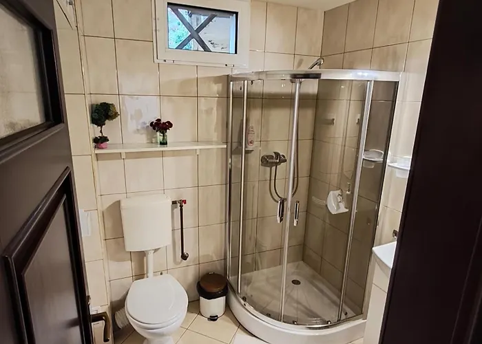 Guest house Casa Paul 3*